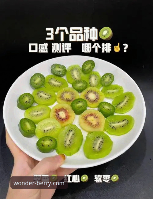 奇异果体育正版验证 奇异果体育平台正版验证与安全安装完整指南