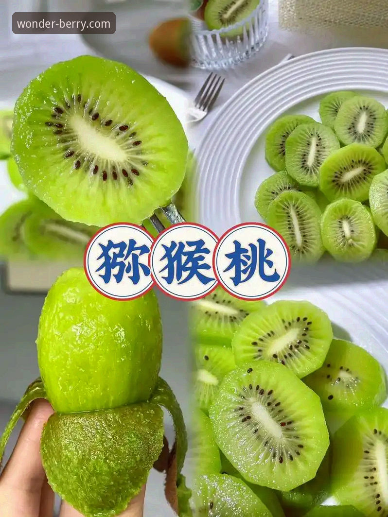 奇异果体育安卓安装包对比 奇异果体育安卓安装包对比全面解析:从版本差异到下载安全性的深度分析
