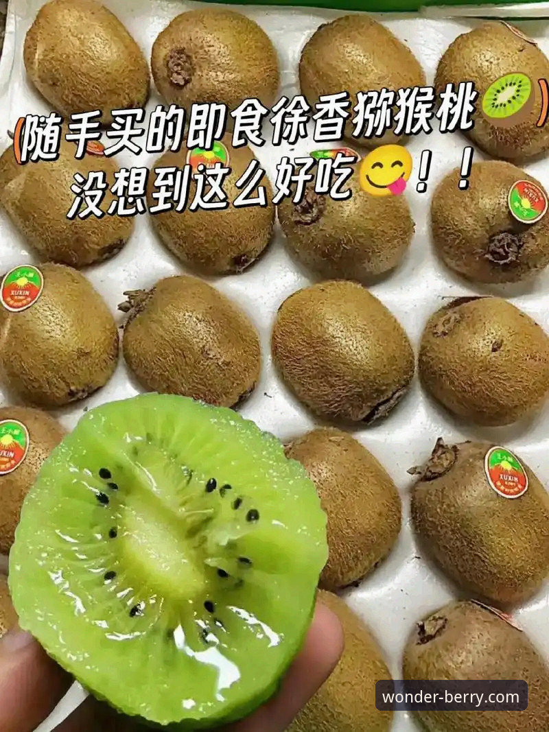 奇异果体育平台正版下载全流程深度分析：避开陷阱，一步到位